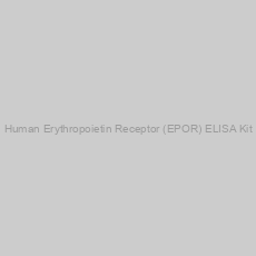 Image of Human Erythropoietin Receptor (EPOR) ELISA Kit